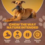 Premium XL Elk Antler Dog Bone for Chewers