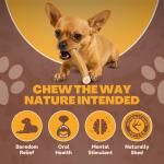 WhiteTail Naturals Deer Antler Chews for Dogs