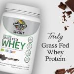 Chocolate Grass Fed Whey Protein Isolate with Probiotics