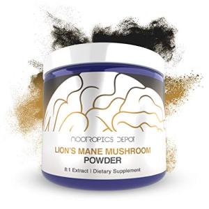 Lions Mane Mushroom Powder – Brain Health Booster
