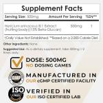 Lions Mane Mushroom Powder – Brain Health Booster