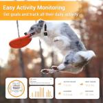 Pawfit 3 GPS Pet Tracker with Smart Alerts