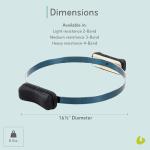 Balanced Body Spring Circle Pilates Workout Ring