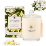 Luxury Frangipani Gardenia Soy Wax Candle 11.66 oz