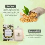 Luxury Frangipani Gardenia Soy Wax Candle 11.66 oz