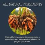 Organic Turmeric Ginger Herbal Tea - Caffeine Free