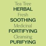 Pure Tea Tree Essential Oil for Skin & Home
