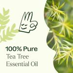 Pure Tea Tree Essential Oil for Skin & Home