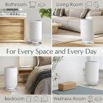 PureBliss Extra Large Luxury Towel Warmer