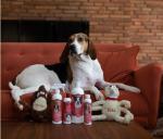 BIO-GROOM Flea & Tick Shampoo Concentrate, 1 Gallon