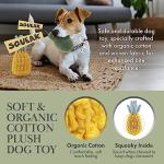Nina Woof Organic Cotton Dog Toy Gift Set