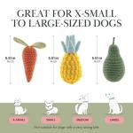 Nina Woof Organic Cotton Dog Toy Gift Set