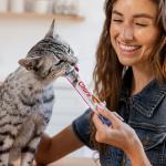 Lickable Salmon Cat Treats with Green Tea