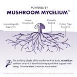 Lion's Mane Mushroom Capsules for Brain Support