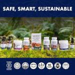 Lion's Mane Mushroom Capsules for Brain Support