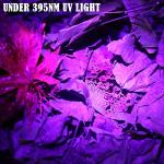 LUMENSHOOTER B2 Blood Tracking Flashlight for Hunters