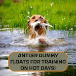 Brown DogBone Training Dummy for Scent Training