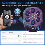 Music Boxing Machine with 6+2 Targets and Gloves