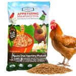 Amzey 5 LB Natural Dried Mealworms for Birds
