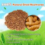 Amzey 5 LB Natural Dried Mealworms for Birds