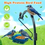 Amzey 5 LB Natural Dried Mealworms for Birds