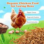 Amzey 5 LB Natural Dried Mealworms for Birds