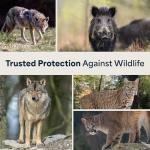 Mace Bear Spray 2-Pack for Outdoor Safety