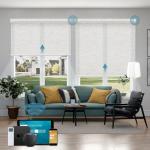 Smart Motorized Light Filtering Roller Shades with Voice Control