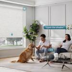 Smart Motorized Light Filtering Roller Shades with Voice Control