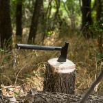 Multi-Tool Camping Hatchet with Firestarter & Saw