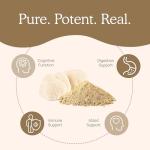 Organic Lion's Mane Capsules for Optimal Wellbeing