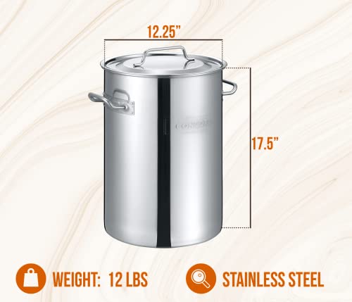 CONCORD Stainless Steel Turkey Fryer Set