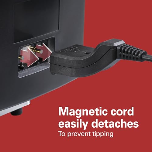 Hamilton Beach Professional Electric Deep Fryer, 1500W, 3L