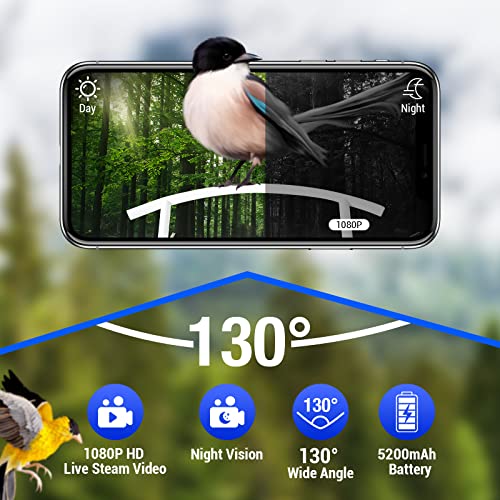 Smart Bird Feeder with Camera and Solar Panels