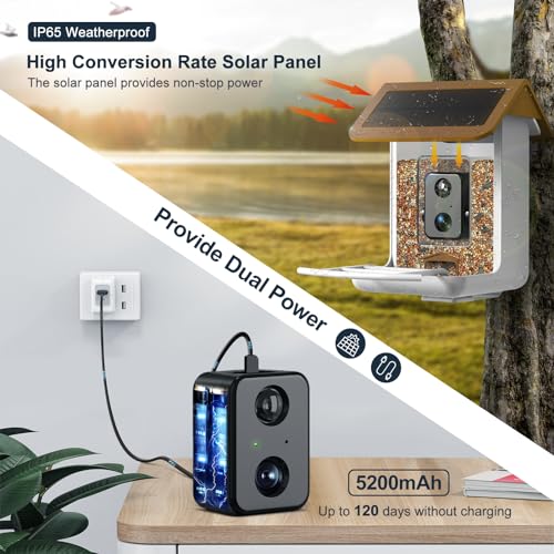 Smart Bird Feeder Camera with AI and Solar Panel