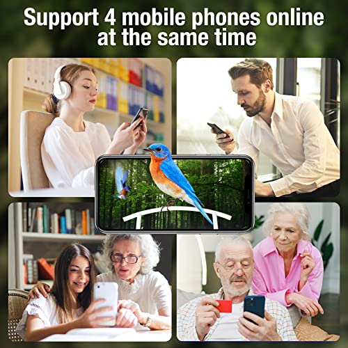 Smart Bird Feeder with Camera and Solar Panels