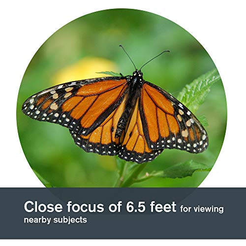 Celestron Nature DX 8x42 Binoculars with Case