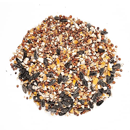 Wagner's 13010 Wild Bird Food: 30lb Bag