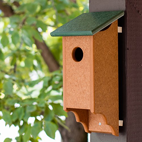 Amish Bluebird House: Eco-Friendly Recycled Plastic & Cedar