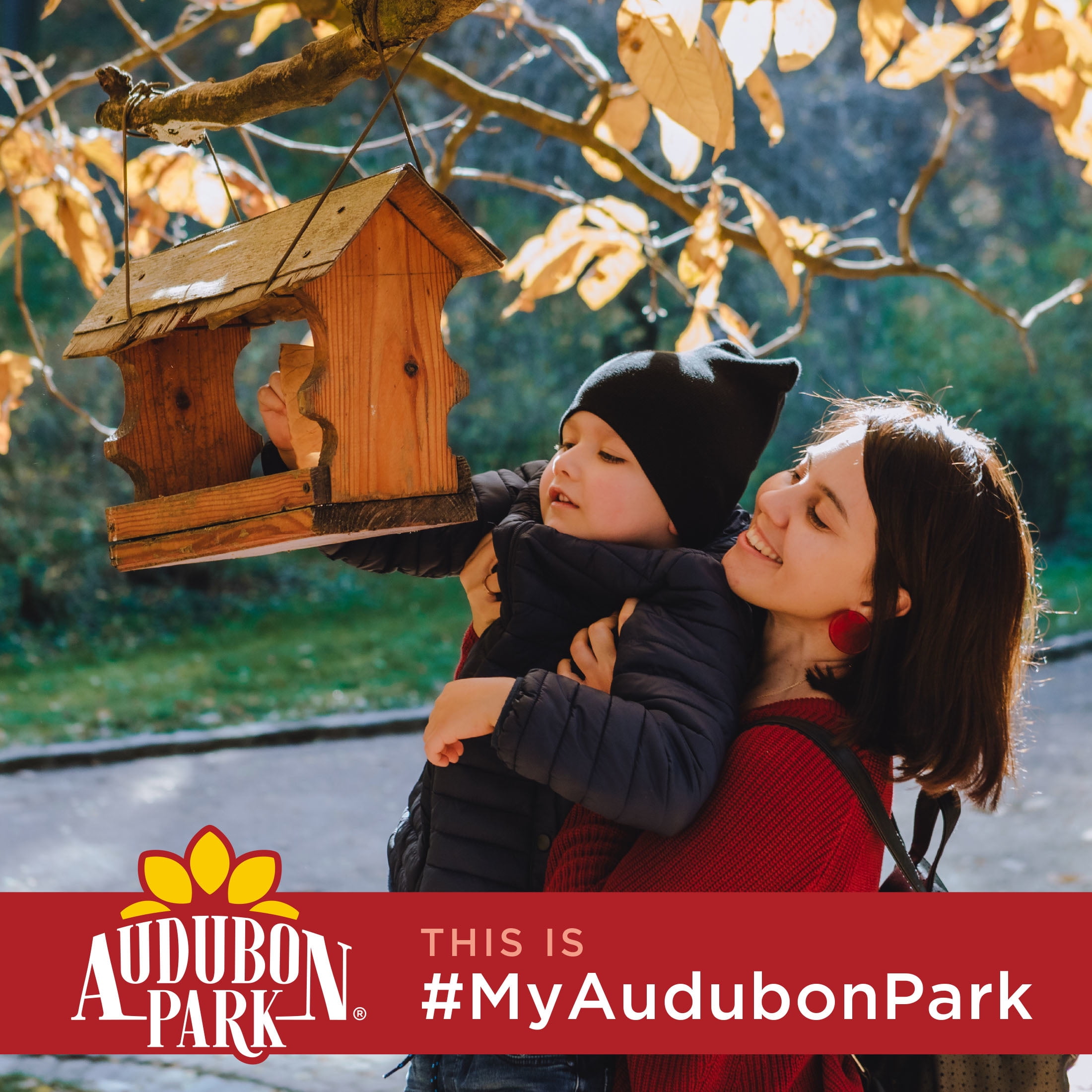 Audubon Park Safflower Seed for Wild Birds, 5 lb. Bag