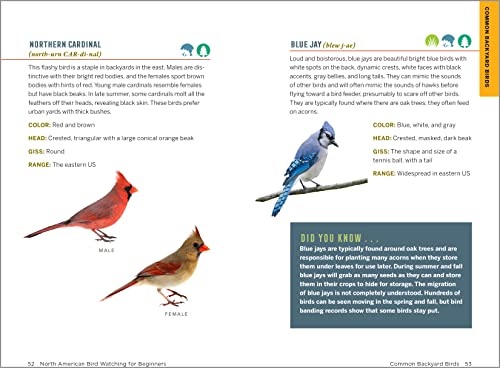 Beginner's Birding Adventures: Field Notes on 150 North American Species