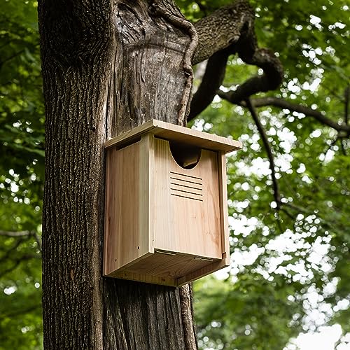 Large Cedar Owl House - Premium & Weatherproof Design