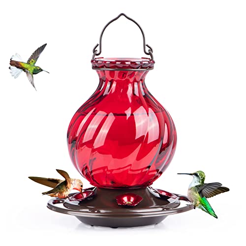 Auslar Red Glass Hummingbird Feeder, 26oz, 5 Ports