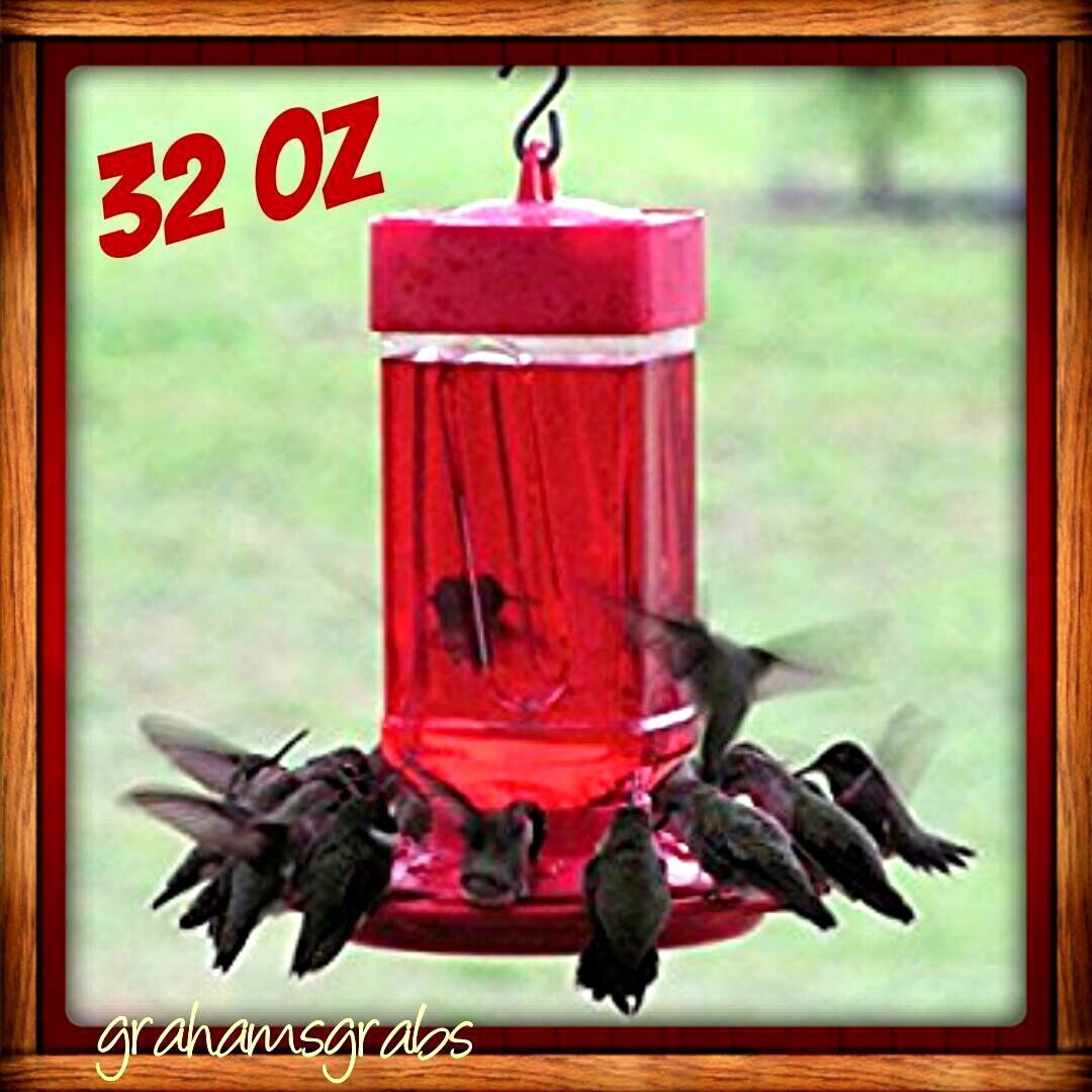 32oz Wide Mouth Hummingbird Feeder - Easy Clean