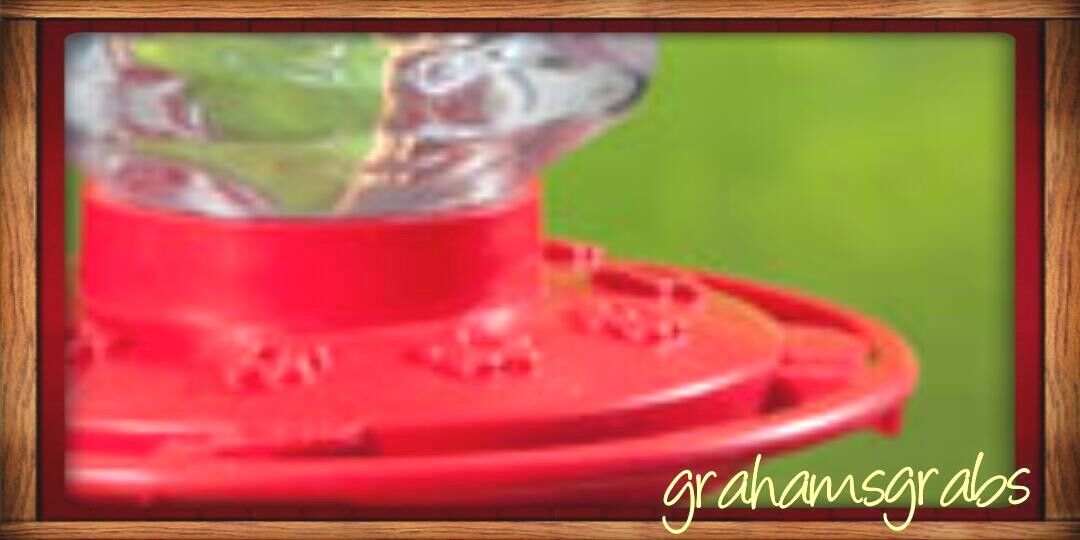 32oz Wide Mouth Hummingbird Feeder - Easy Clean