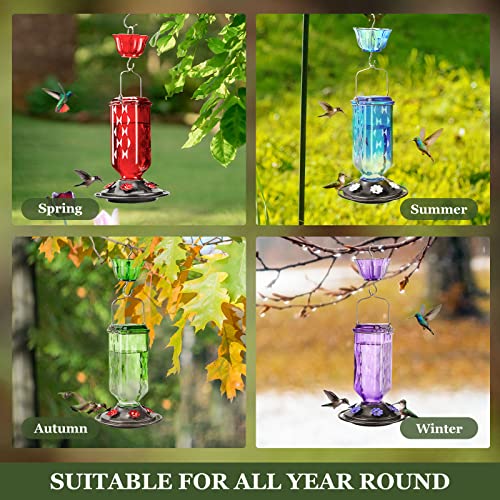 Glass Hummingbird Feeder with 6 Feeding Ports, 24oz