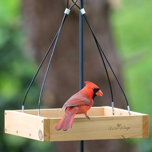 Cedar Tray Bird Feeder by Wild Wings