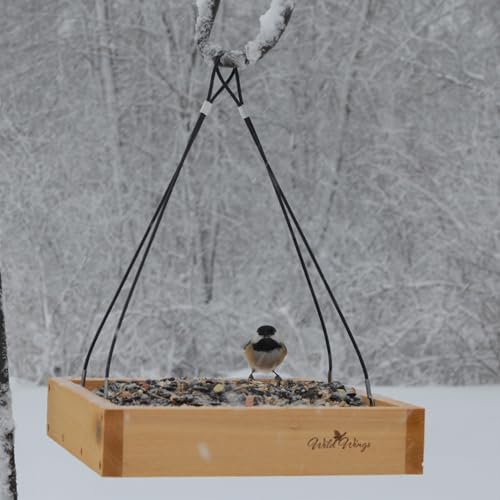 Cedar Tray Bird Feeder by Wild Wings