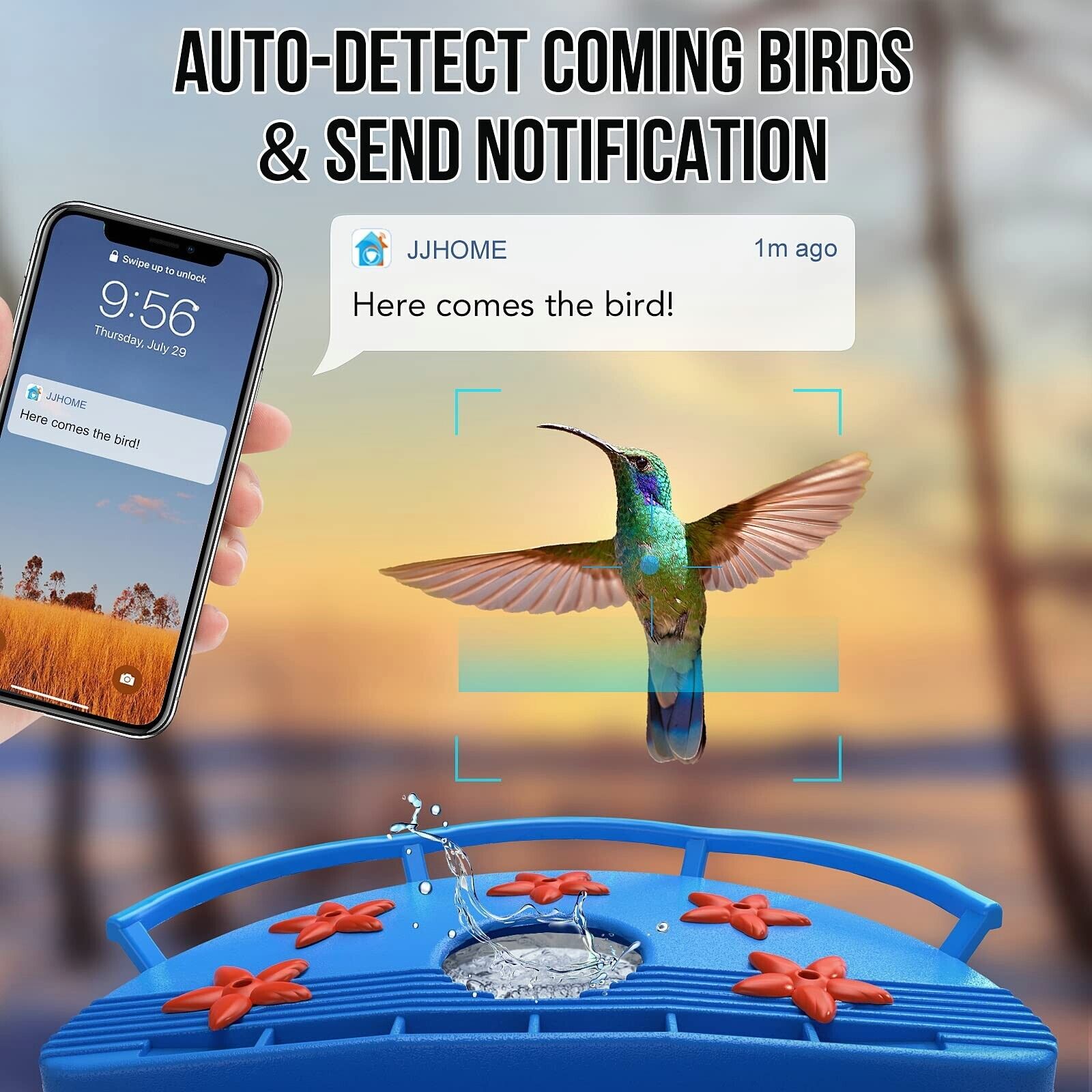 Hummingbird Feeder Camera with AI Recognition - Wild Birds