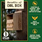 Outdoor Owl House - Real Wood, Easy-to-Hang